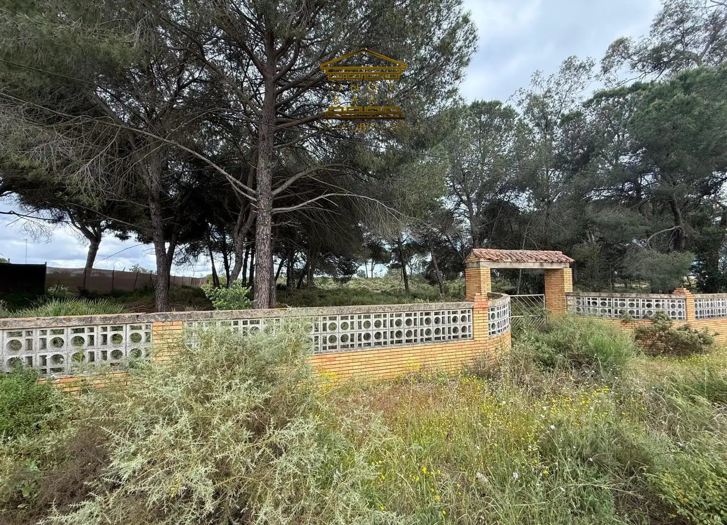 Terreno en venta en Almonte