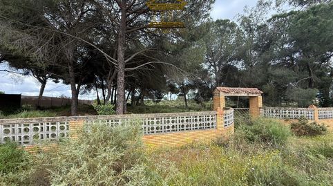 Foto 2 de Terreno en venta en N/a, -1, Almonte ciudad, Almonte