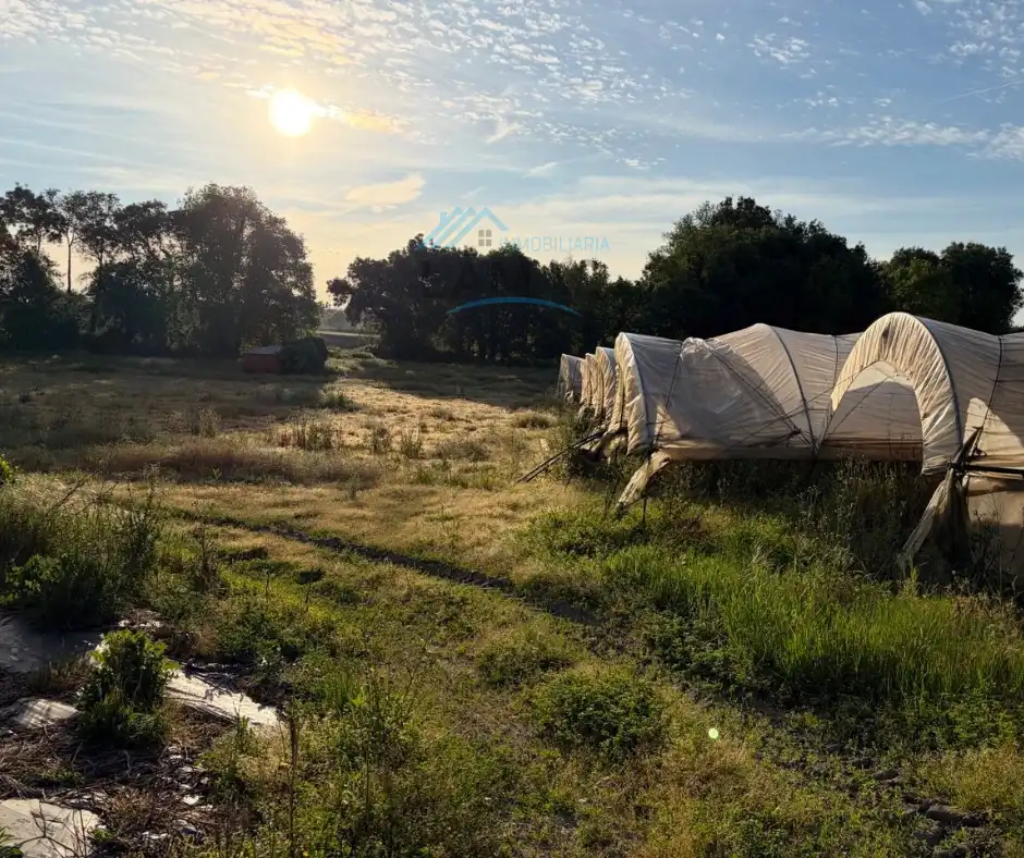 Finca rústica en venta en Cuacos de Yuste