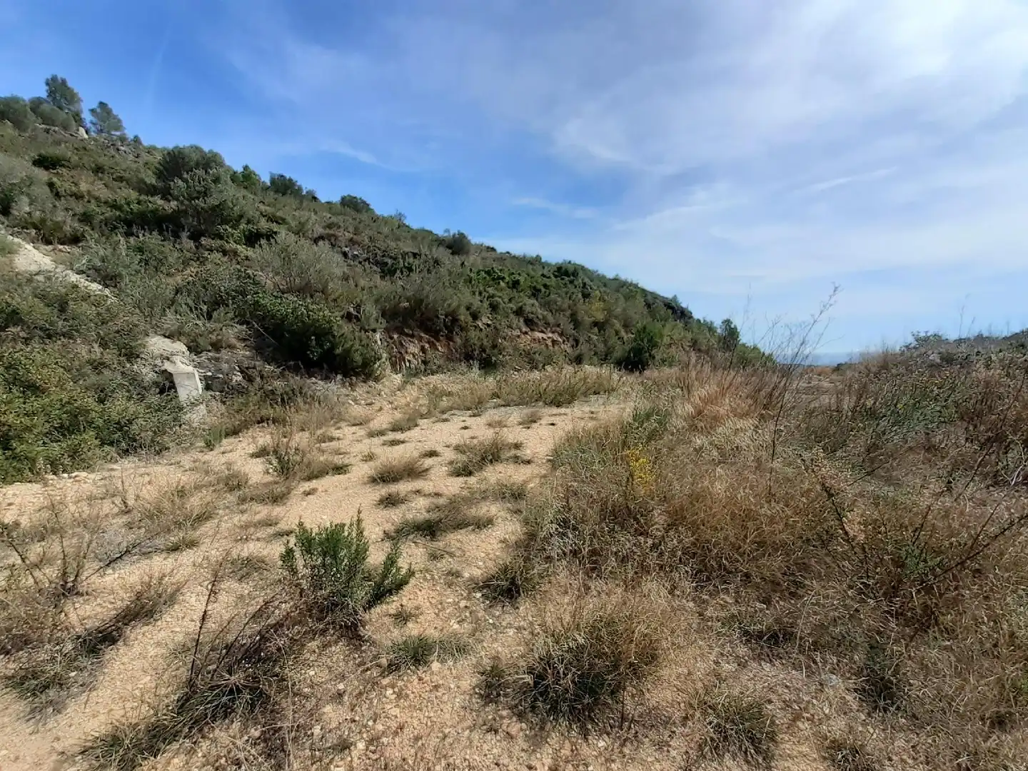 Lands and plots for sale in Roda de Barà, imagen 10