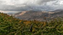 Grundstücke zum verkauf in Güejar Sierra