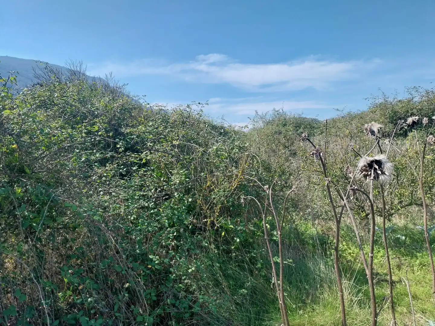 Rural land for sale in Plaça Poligono 03, imagen 4