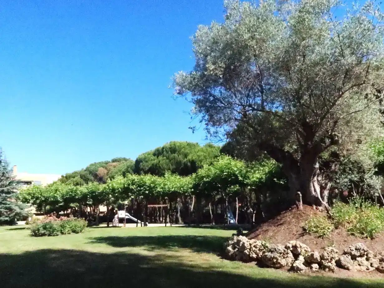 Jardí de Pis en venda en Pozuelo de Alarcón amb Aire condicionat