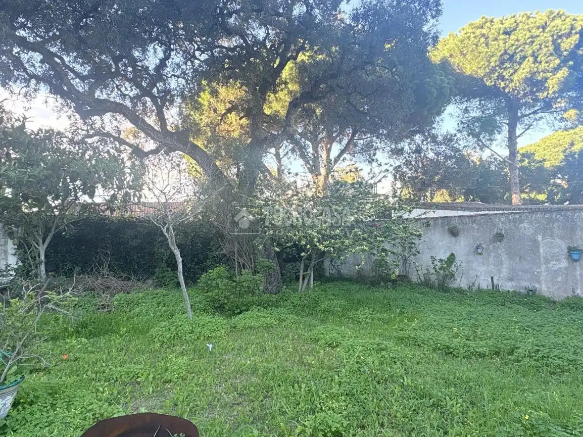 Finca rústica en venda en Barbate