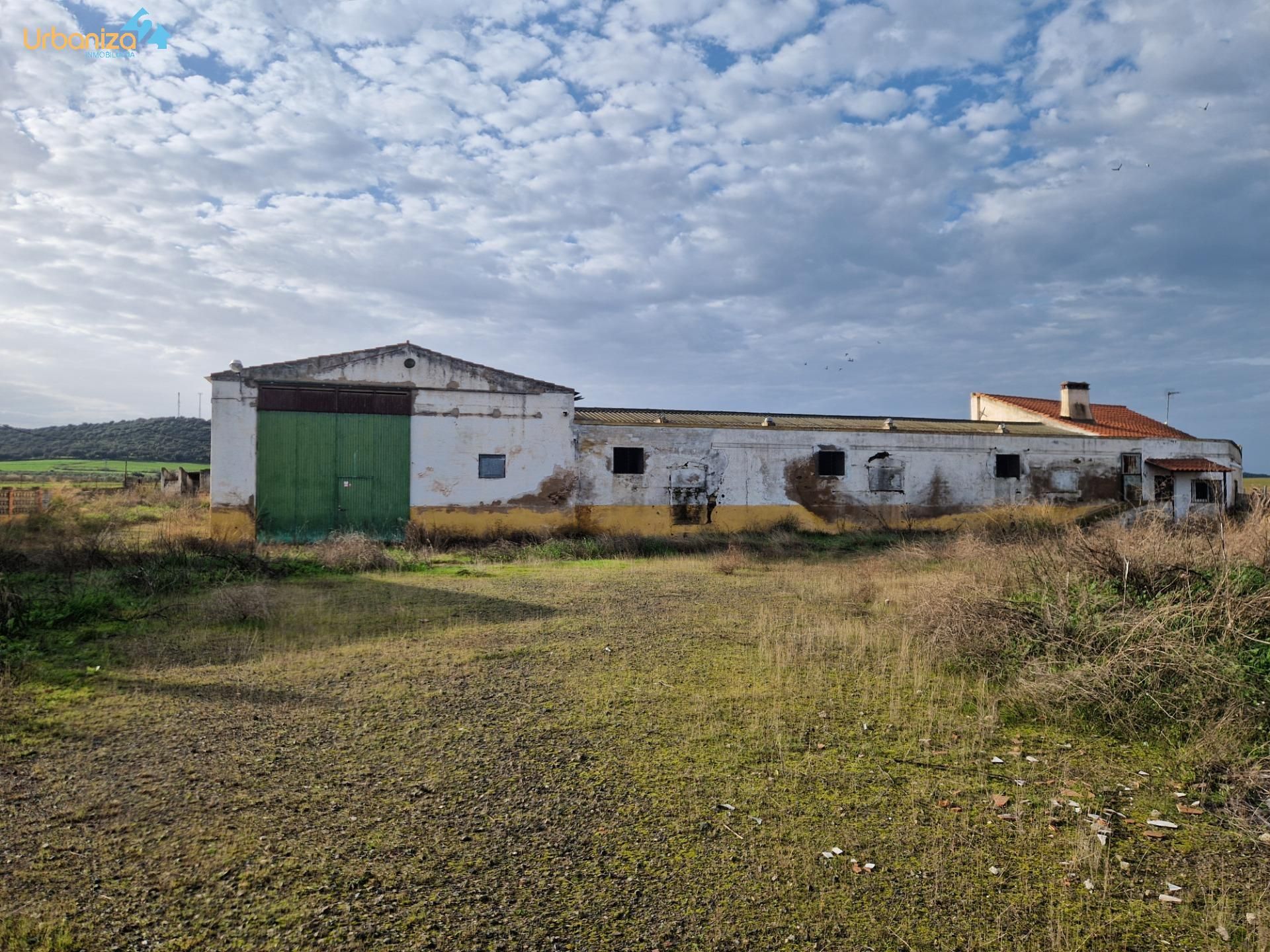 Vista exterior de Terreny industrial en venda en Almendral