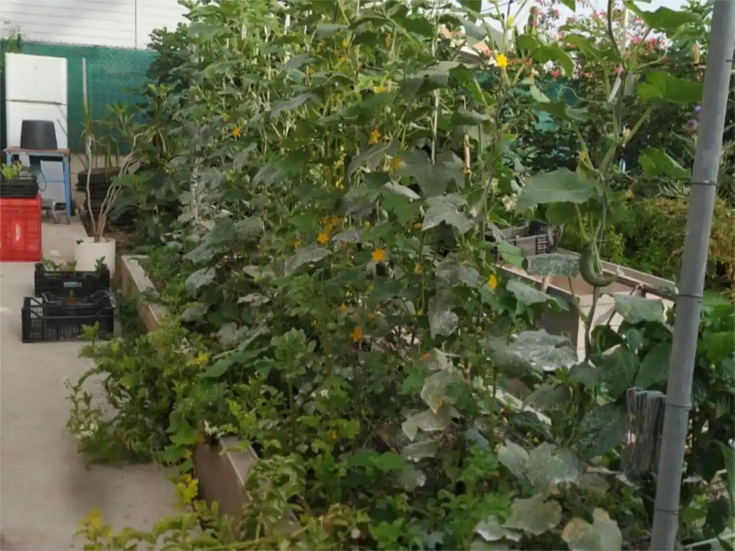 Garden of Flat for sale in Potries  with Air Conditioner, Private garden and Storage room