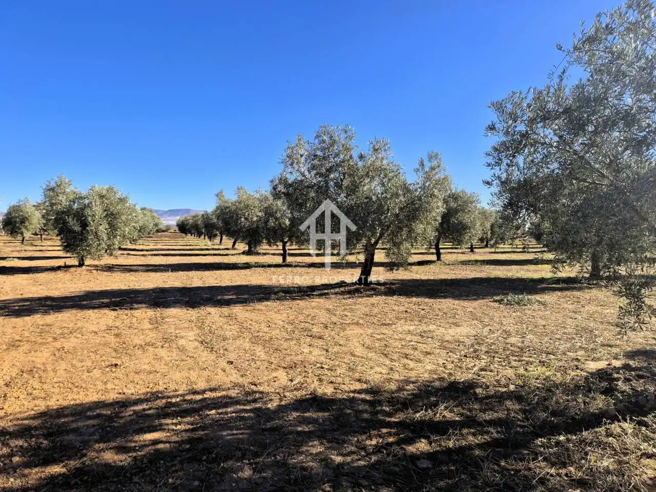 Lands and plots for sale in Lanteira, imagen 35