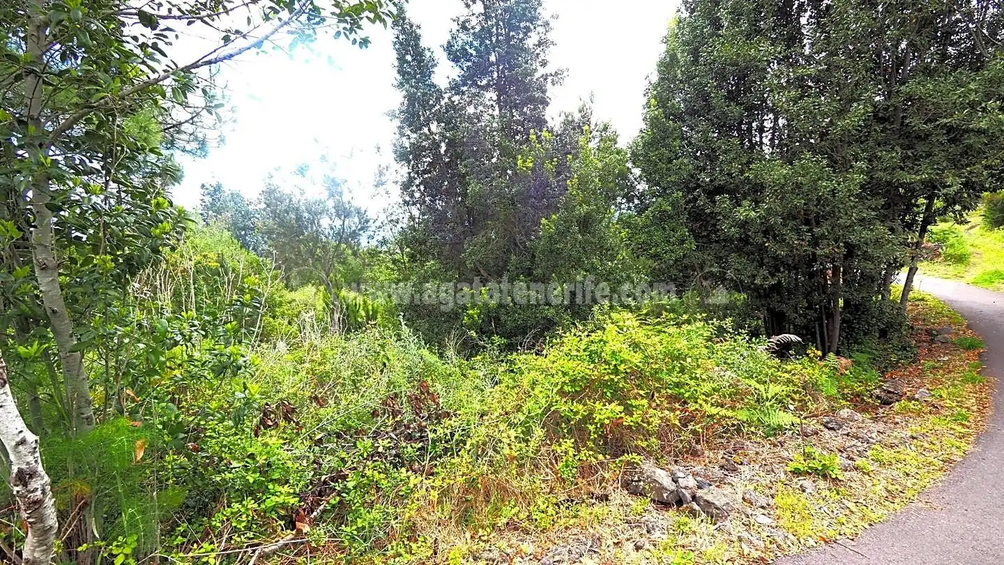 Lands and plots for sale in La Vega - El Amparo - Cueva del Viento, imagen 2
