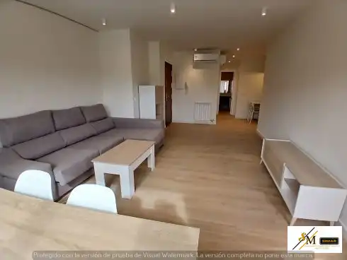 Appartamento con ascensore in affitto a Avenida del Río Boladiez, imagen 15