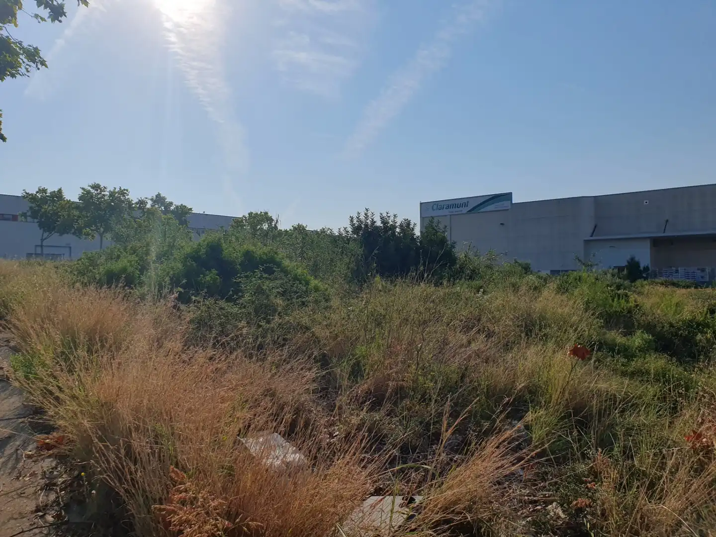 Terreny industrial en venda a Carrer de Guillem Rovirosa 13, imagen 12