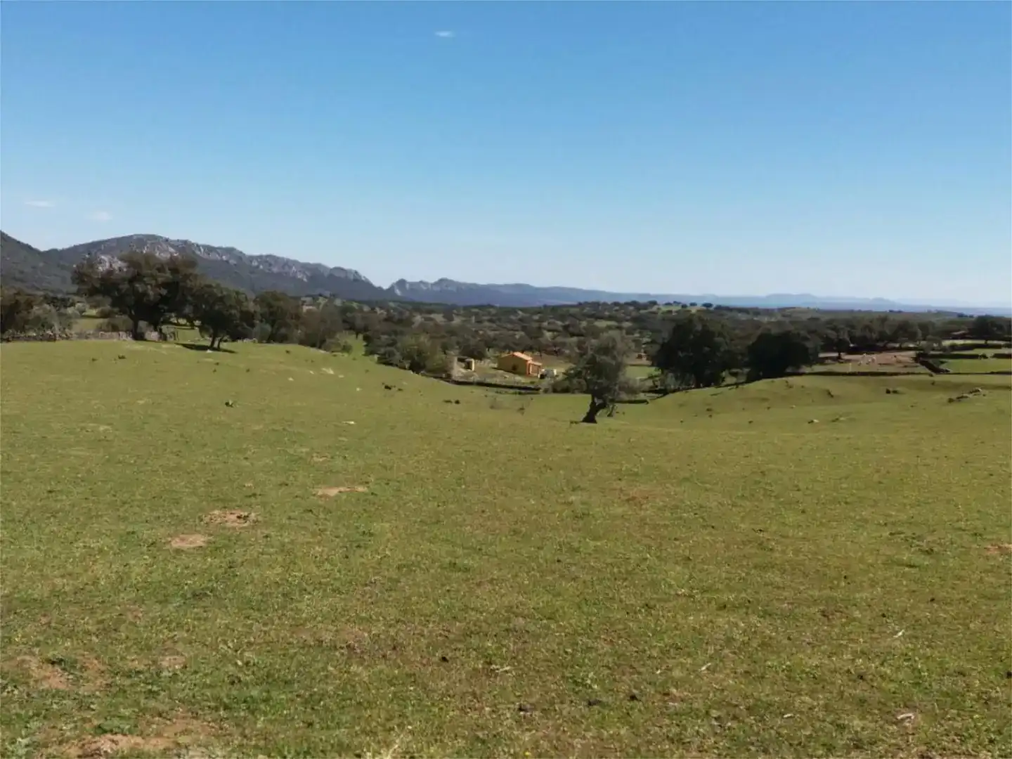 Terreno en venta en Serradilla