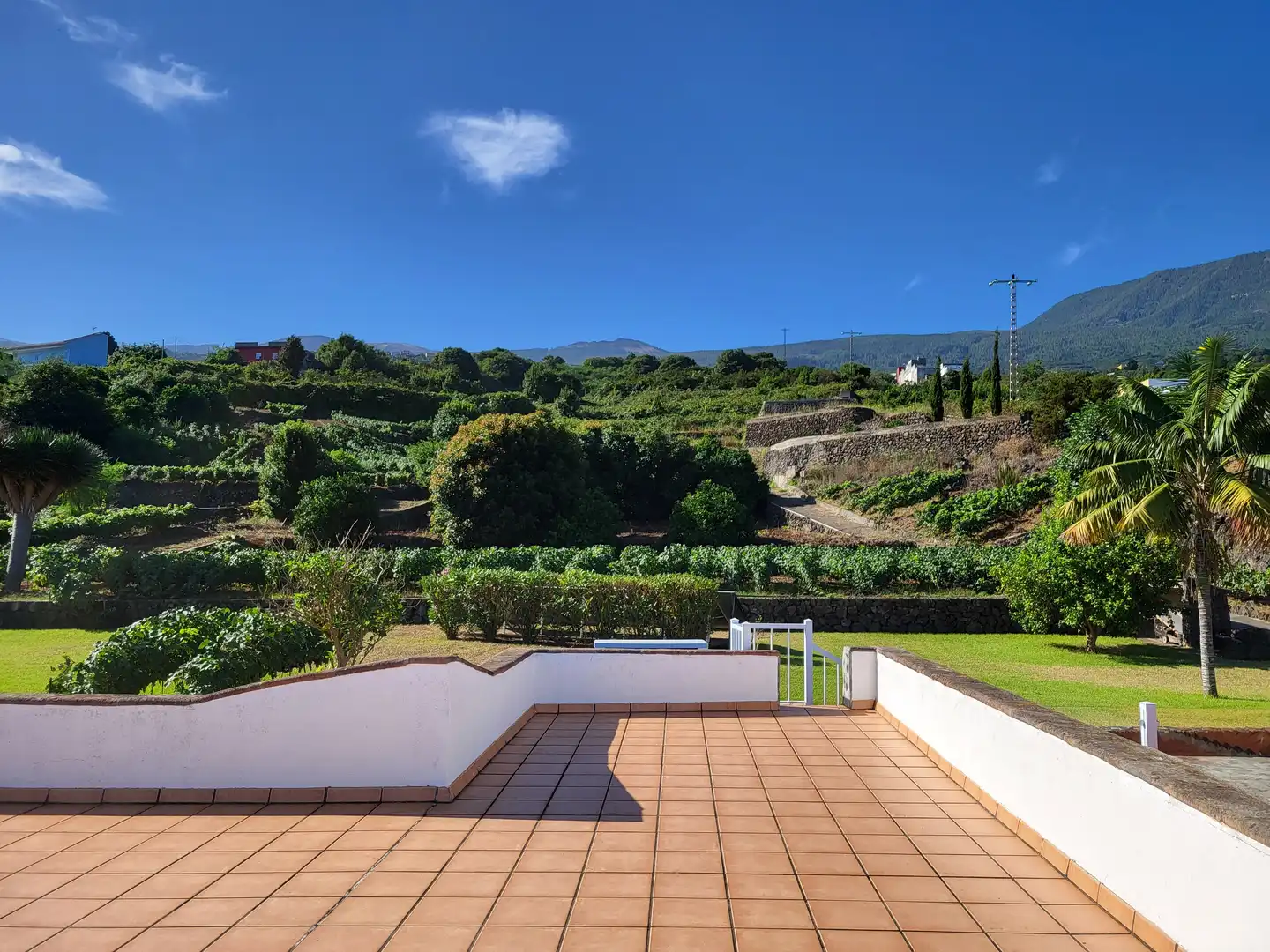 Maison à vendre à Cruz Santa, imagen 27