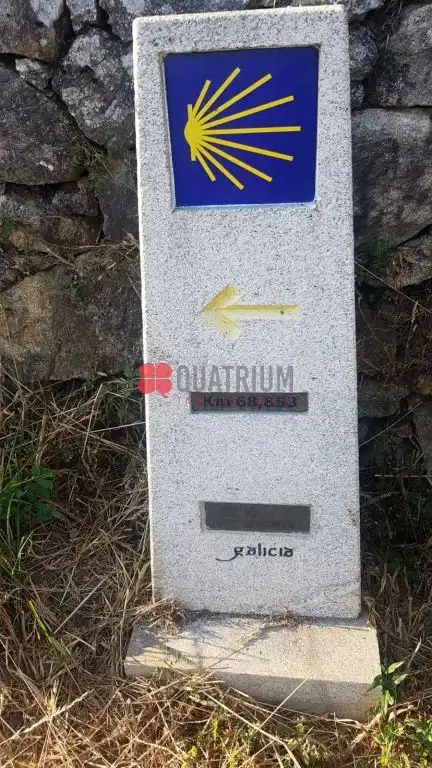Haus oder Chalet zum Verkauf in Palas de Rei
