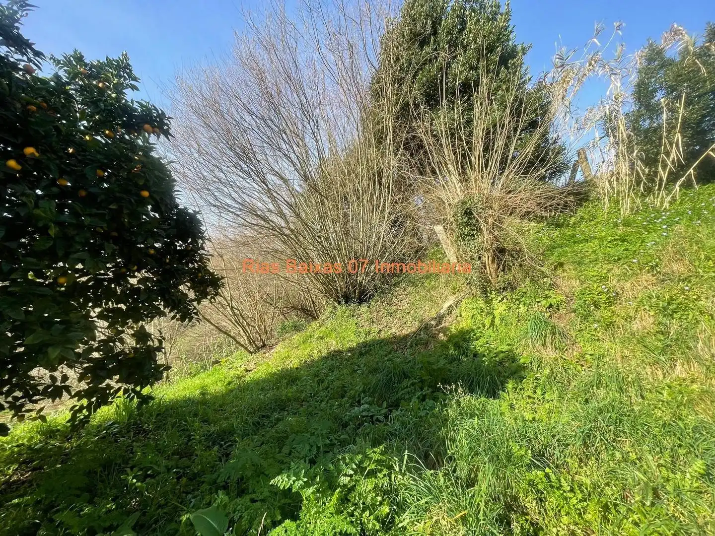 Casa amb jardí en venda a Mos, imagen 25