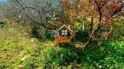 Terreno Rústico en venta en VélezRubio., immagine 4
