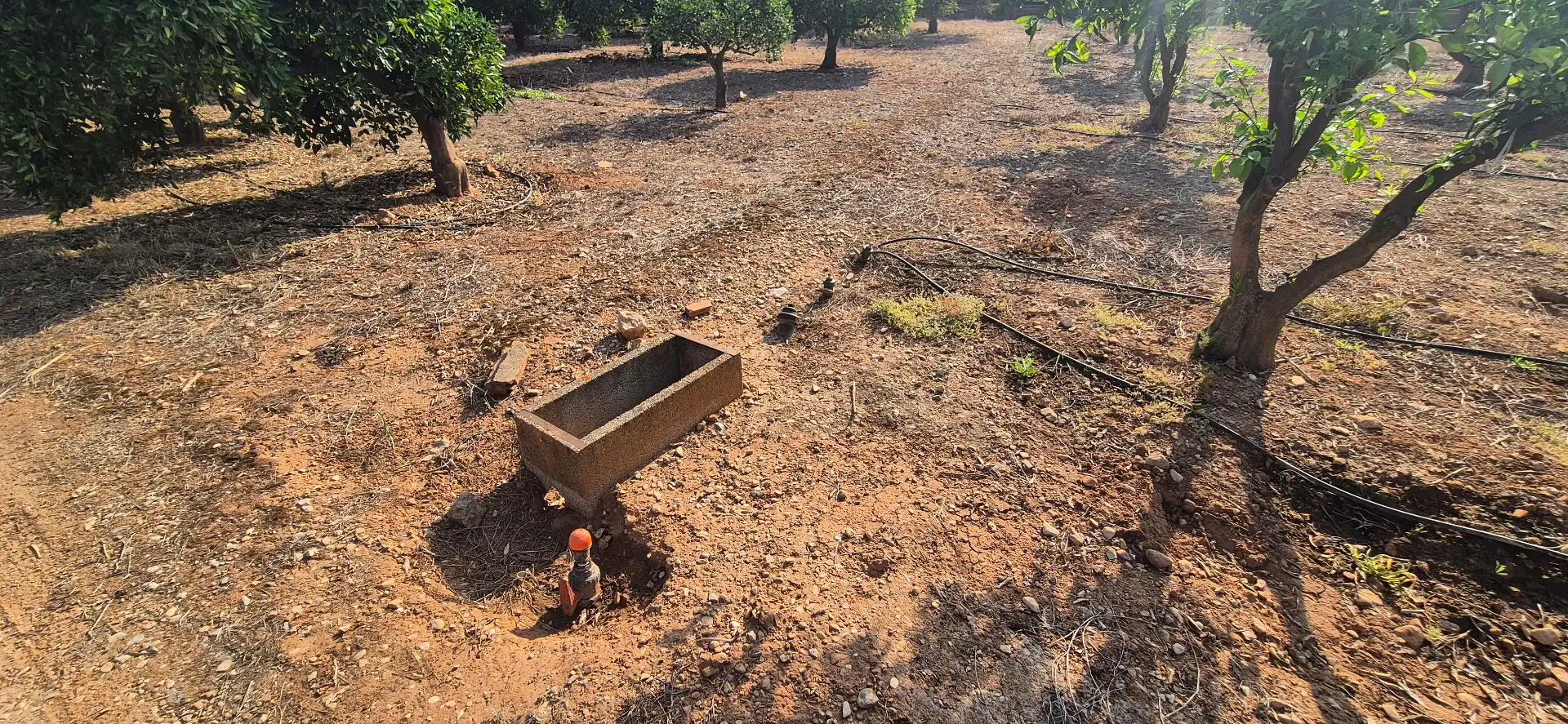 Terreno en venta en Alfauir