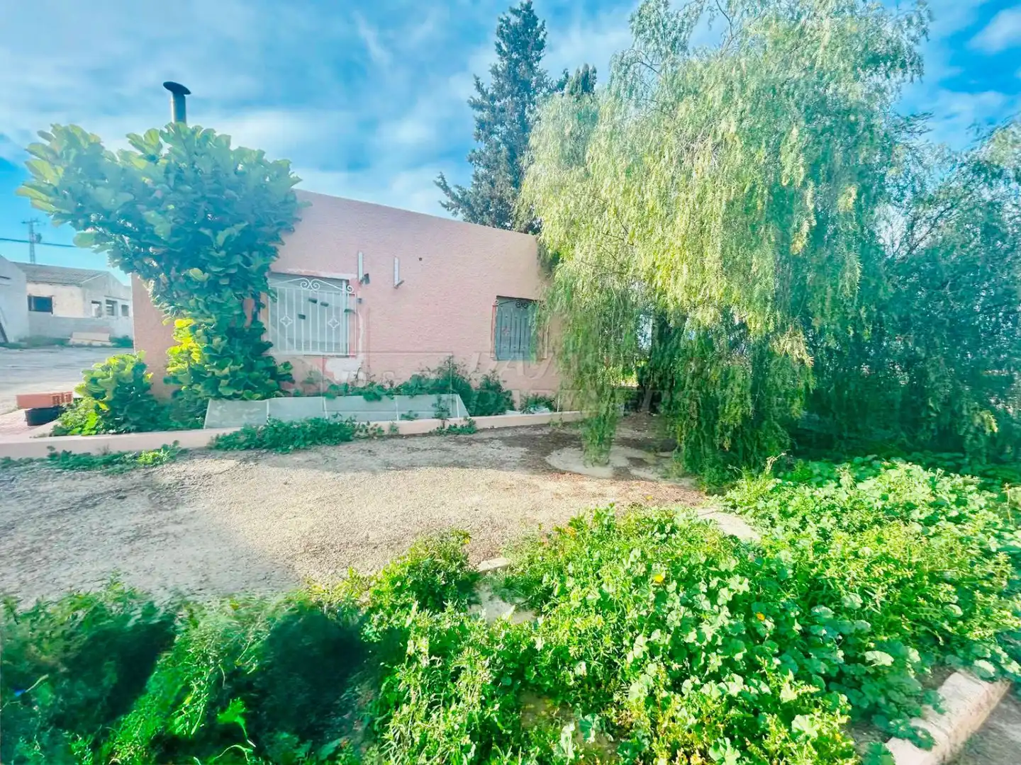 Industriegebäude zum Verkauf in Rojales, imagen 14