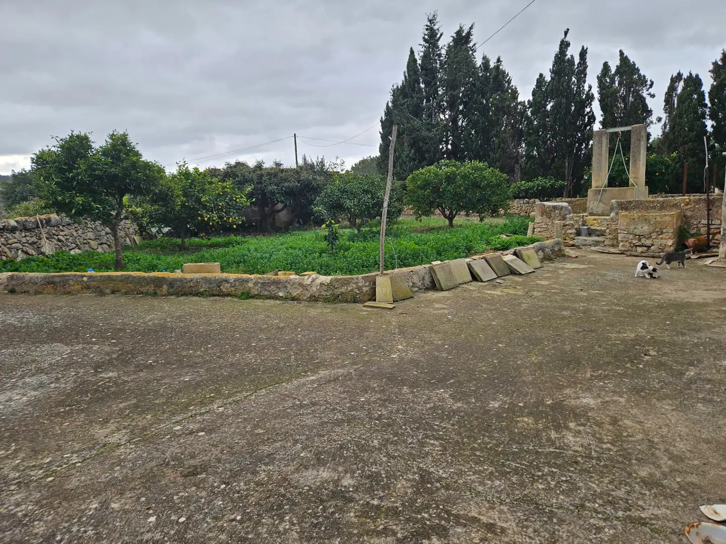 Rural land for sale in Carrer d'es Badaluc, imagen 9