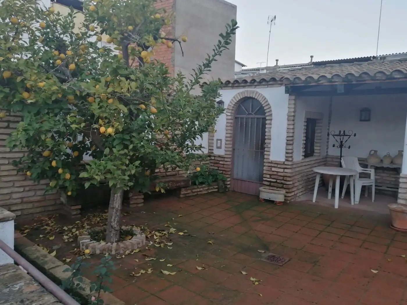 Jardín de Casa o chalet en venta en El Carpio con Jardín privado, Terraza y Trastero