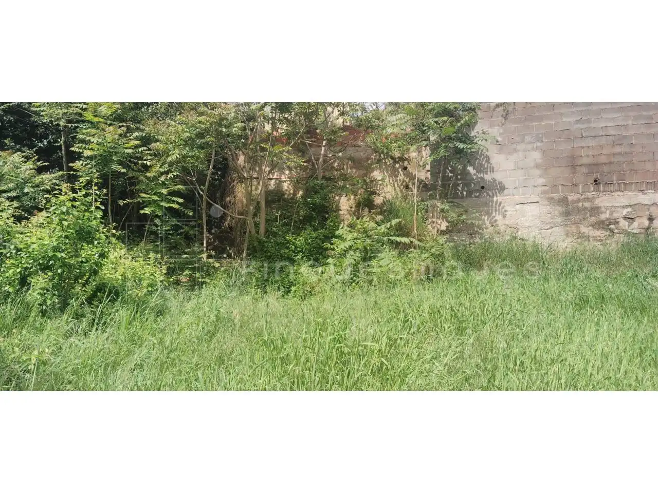 Rural land for sale in Vacarisses, imagen 5