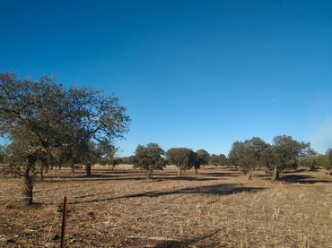 Terreno residenziale in vendita a Benquerencia de la Serena