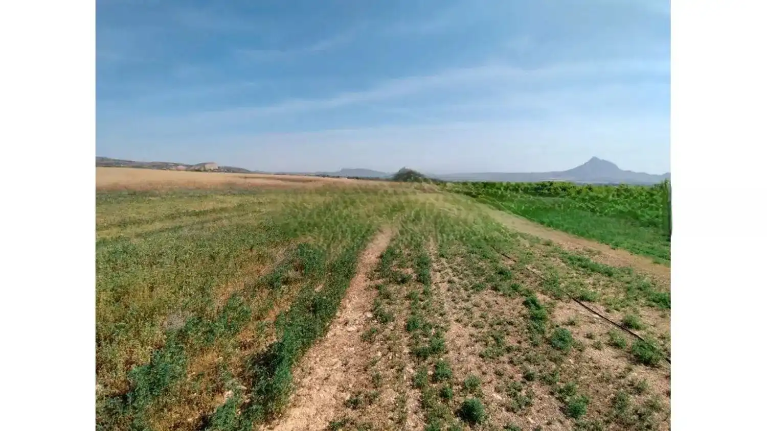 Residencial en venda a N/A, -1, Alhama de Murcia ciudad