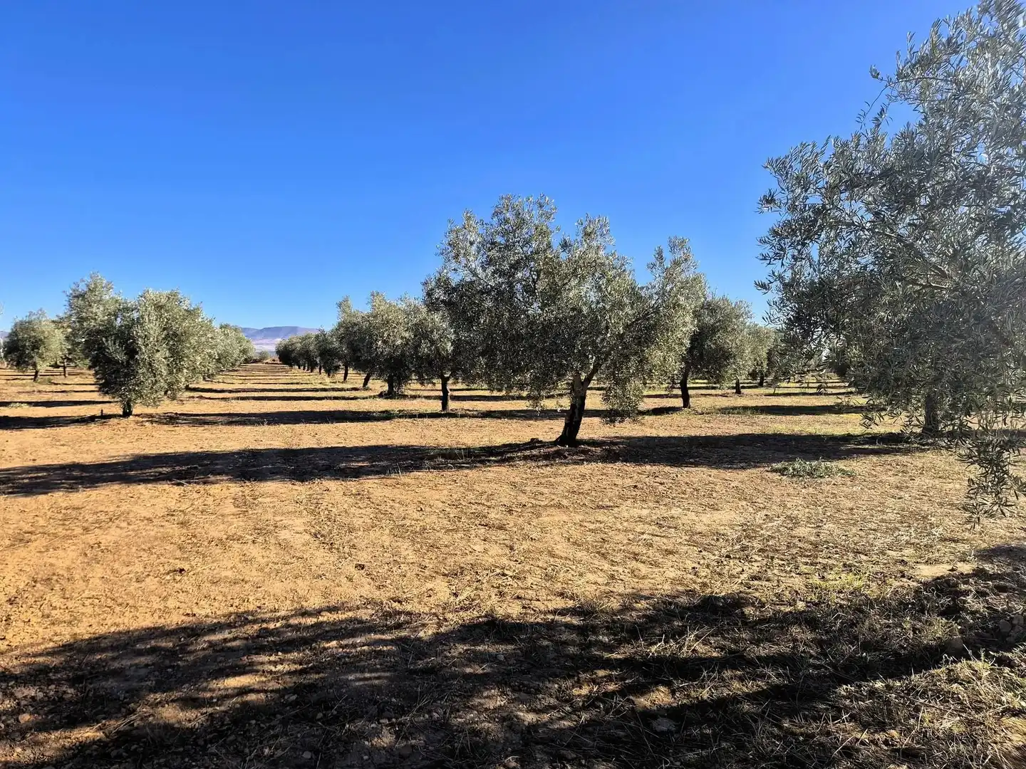 Terreno rústico en venta en Lanteira, imagen 35
