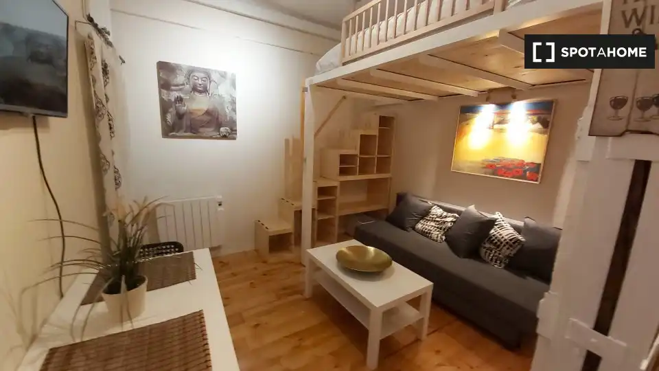 Living room of Study for share in Madrid  with Air Conditioner, Heating and Terrace