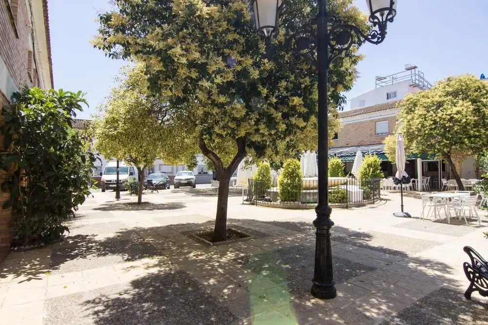 Exterior view of Houses for sale in Jerez de la Frontera  with Terrace