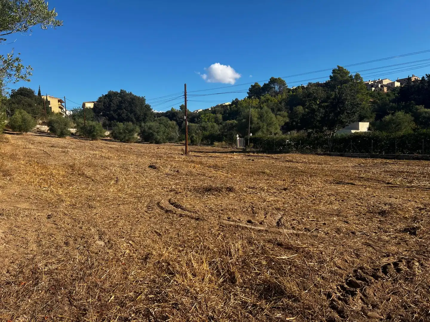 Maison rustique à vendre à Campanet, imagen 9