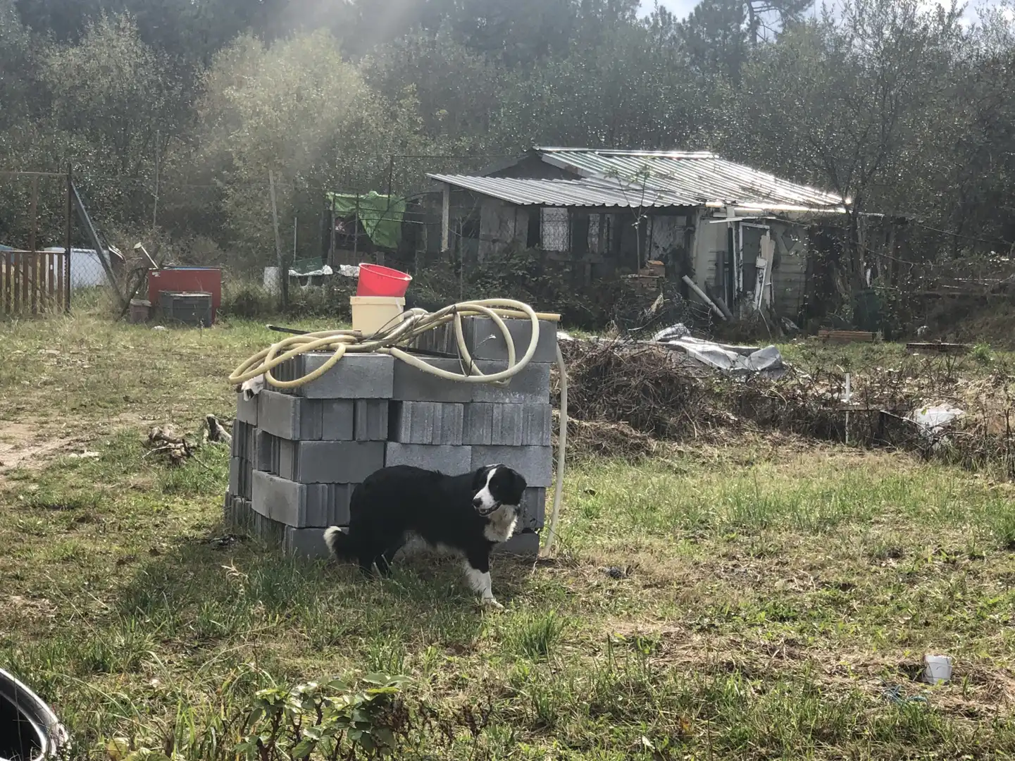 Terrenys i solars en venda a Santa Rosa - Finca Cierro Belga, Santa Rosa, imagen 14