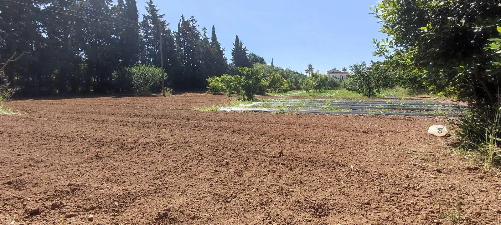 Finca rústica en venda en Riudoms amb Calefacció, Jardí privat i Piscina