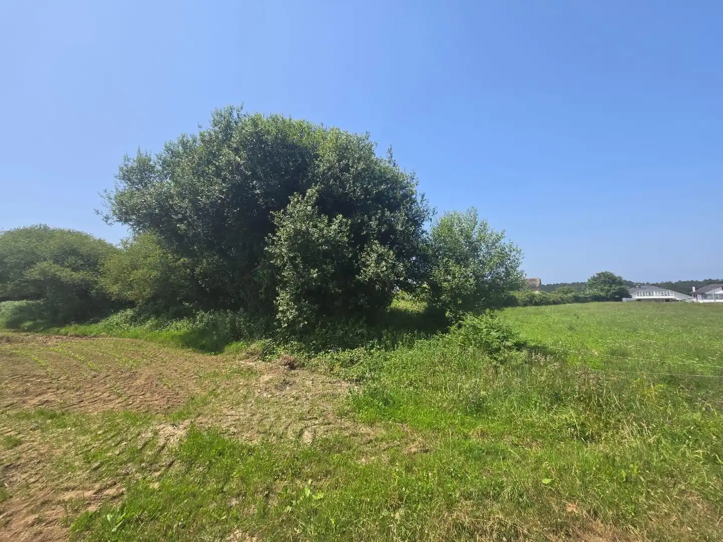 Rural land for sale in Calle PARROQUIA DE SAN COSME - VEIGUIÑA Nº 56, imagen 10