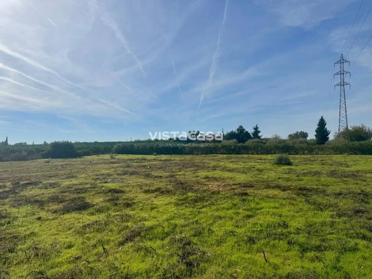 Terreno en venta en Carmona