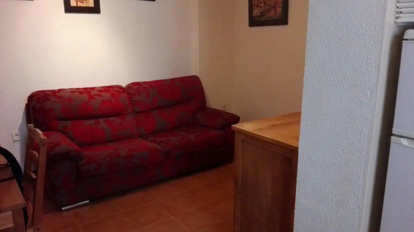 Living room of Apartments for rent in Málaga  with Furnished and Washing machine