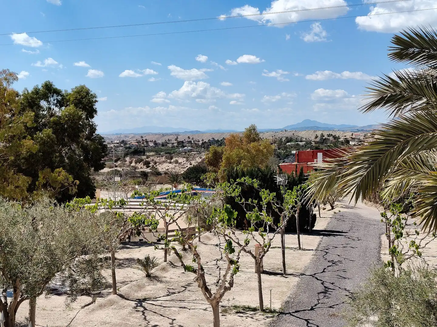 Jardín de Casa o chalet en venta en Abanilla
