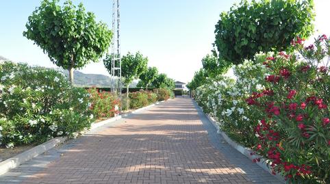 Photo 4 of House or chalet for sale in La Paz, Alicante