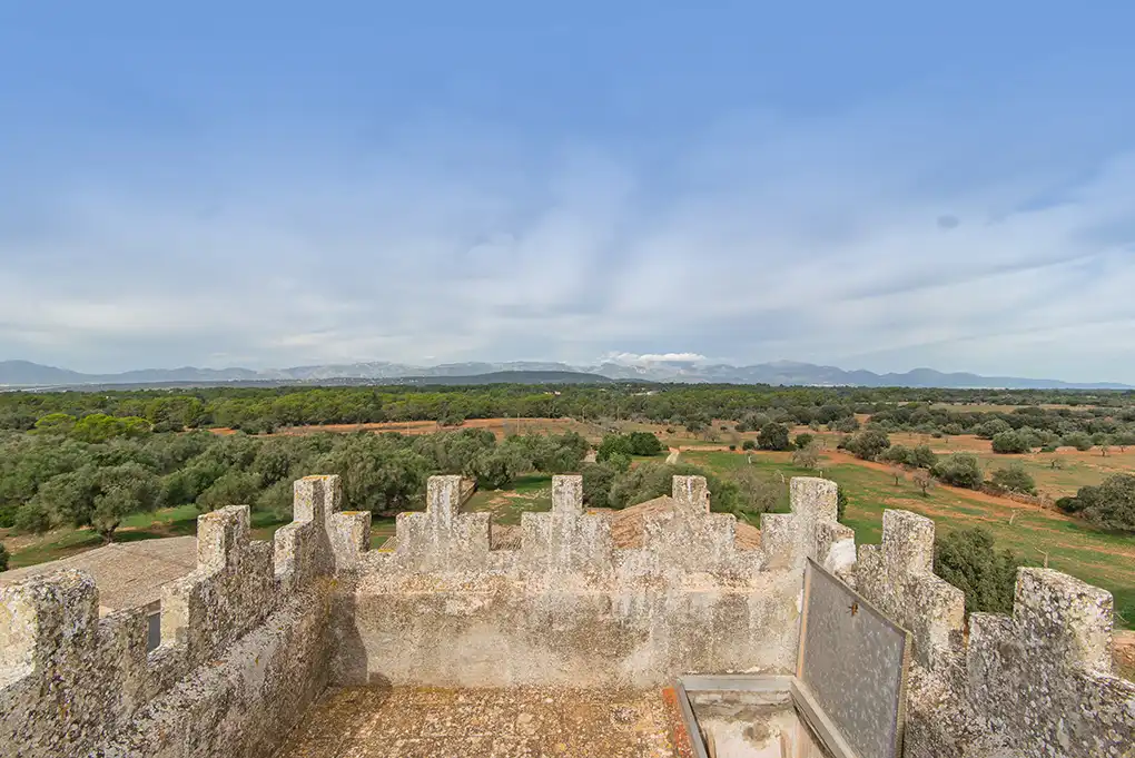 Maison rustique à vendre à Sant Joan, imagen 29