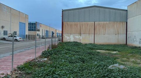 SOLAR INDUSTRIAL EN CIJUELA, imatge 2