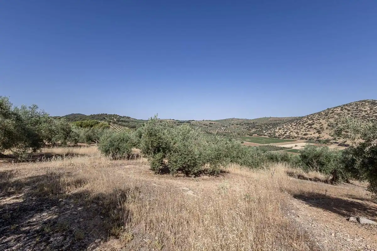 Terreno rustico in vendita a Montefrío, imagen 9