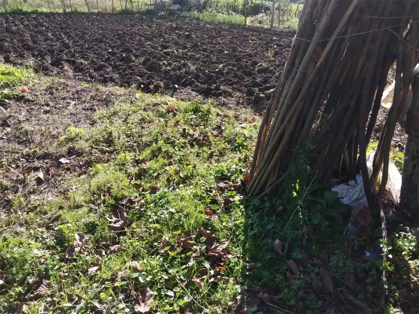Finca rústica en venda en O Barco de Valdeorras  