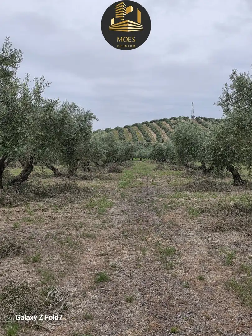 Residencial en venta en Pegalajar