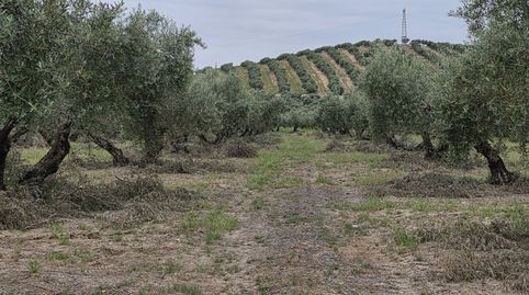 Photo 2 of Residential for sale in Pegalajar, Jaén