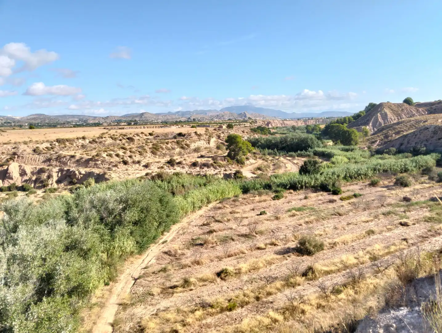 Lands and plots for sale in Mula, imagen 34
