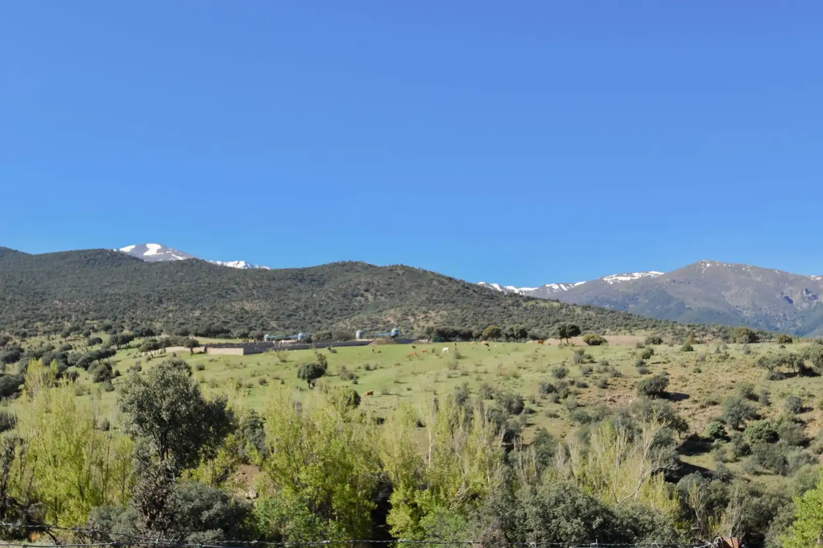 Terreno en venta en Paraje de las Perdices, Lugros