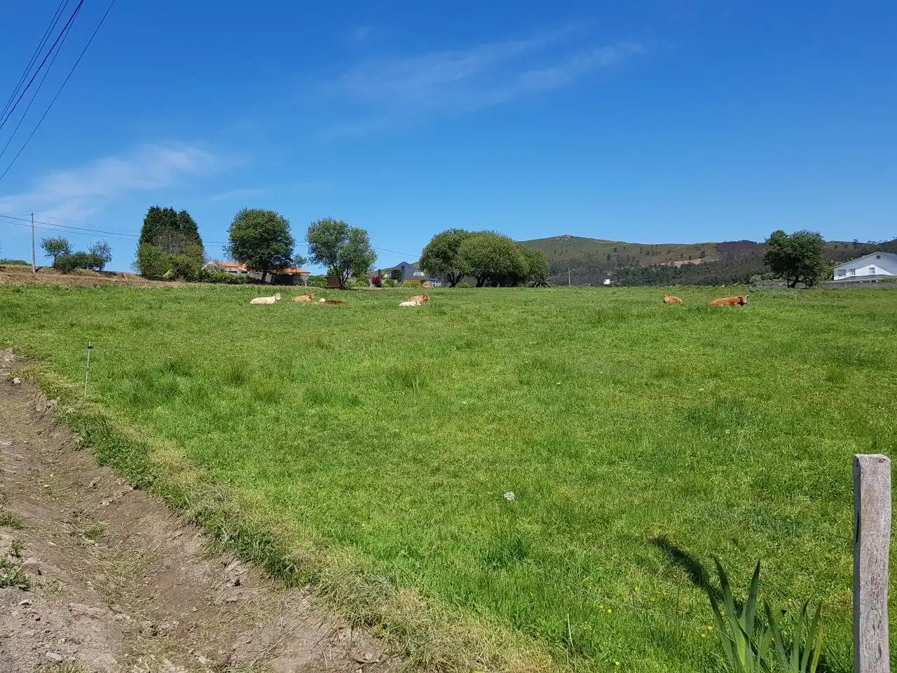 Terrenys i solars en venda a Lugar Montefaro, imagen 5