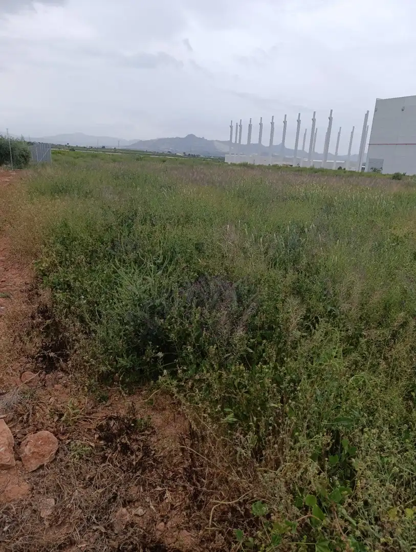 Industrial land for sale in Fortuna