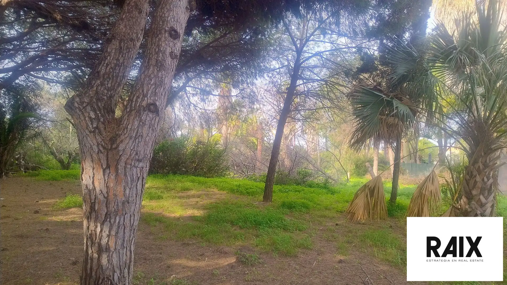 Terreni e lotti in vendita a Hacienda Las Chapas, imagen 19