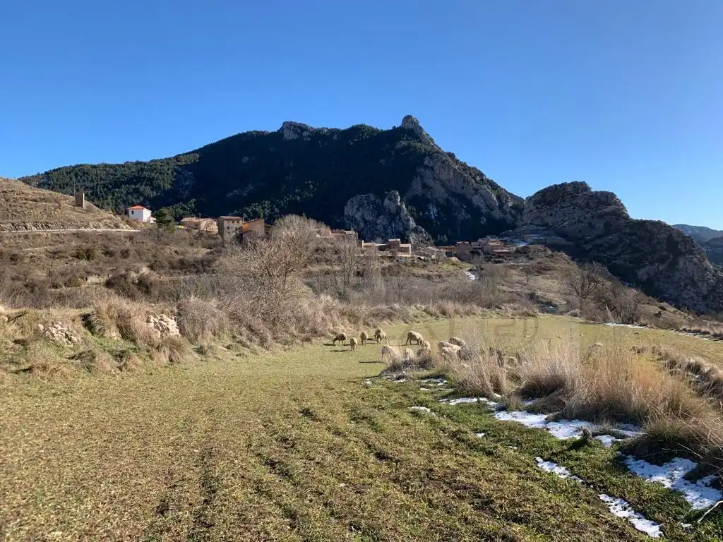 Casa o chalet en venta en Abella de la Conca con Calefacción, Terraza y Amueblado