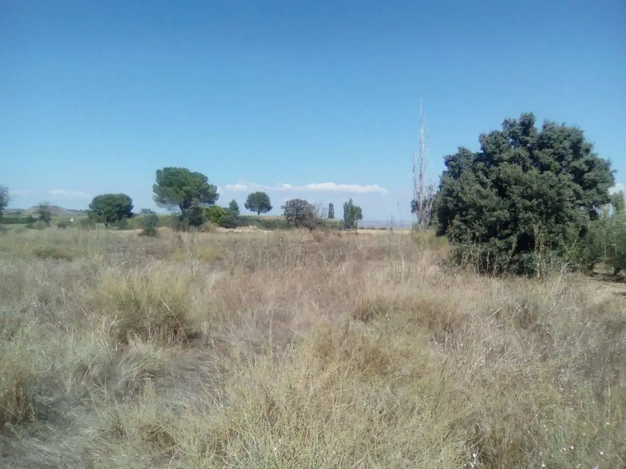 Casa o xalet en venda en Alcampell amb Jardí privat